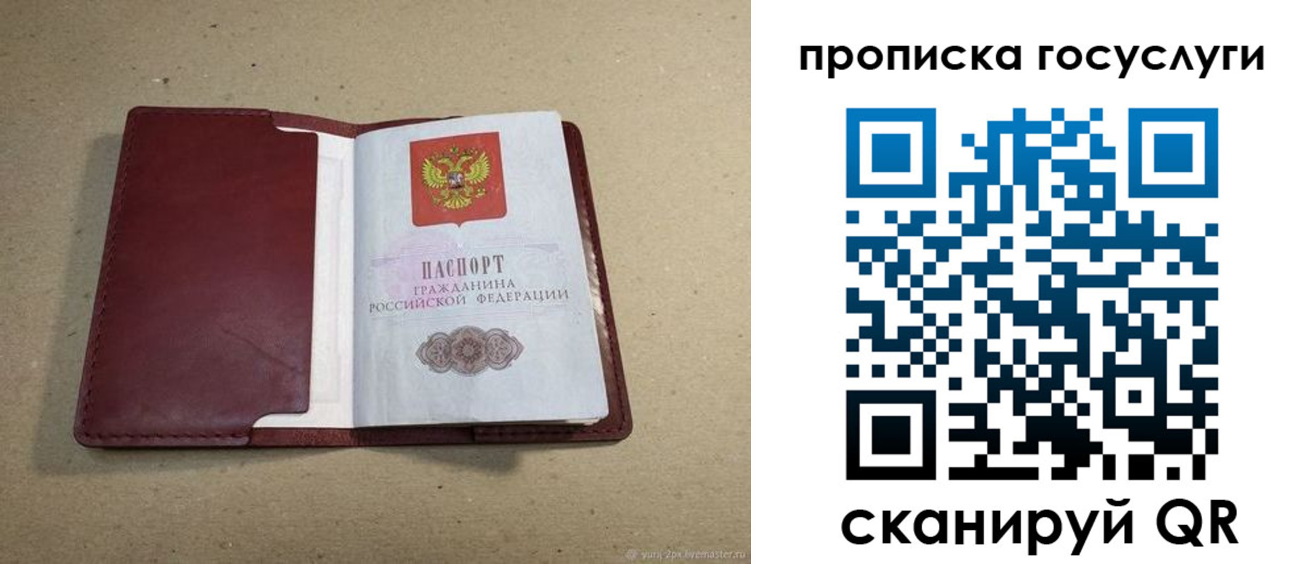 прописка поиск в Арамили